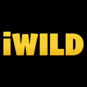 iWild legalne kasyno online